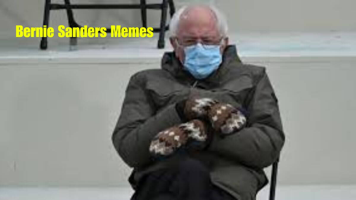 Bernie Sanders Memes