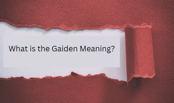 Gaiden Meaning