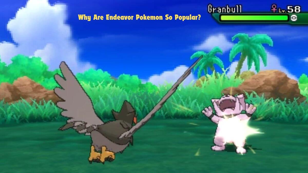 Why Are Endeavor Pokemon So Popular?