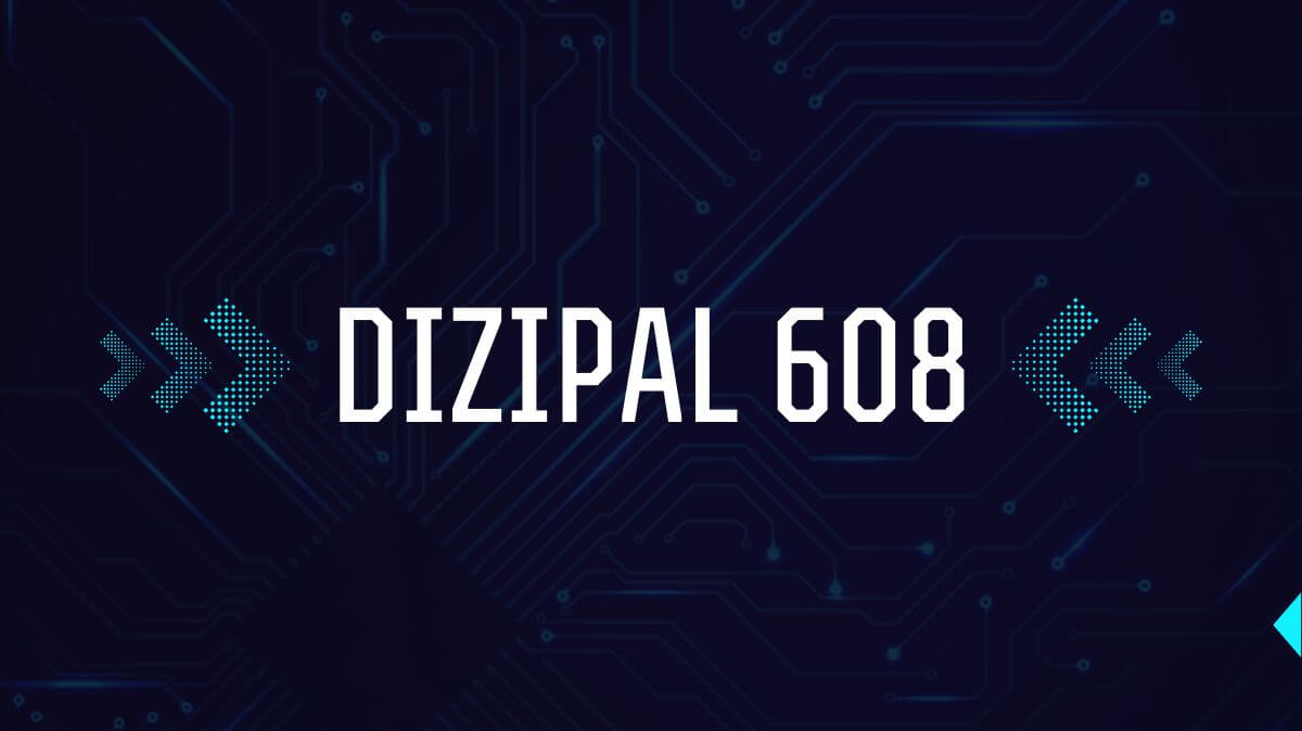 Dizipal 608