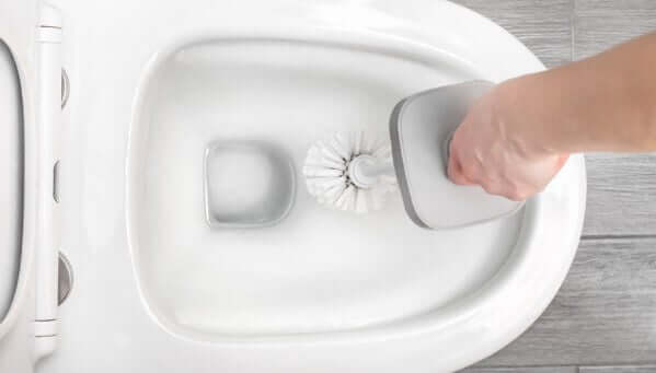 How to Clean Your Toilet with a Lavatory Brush