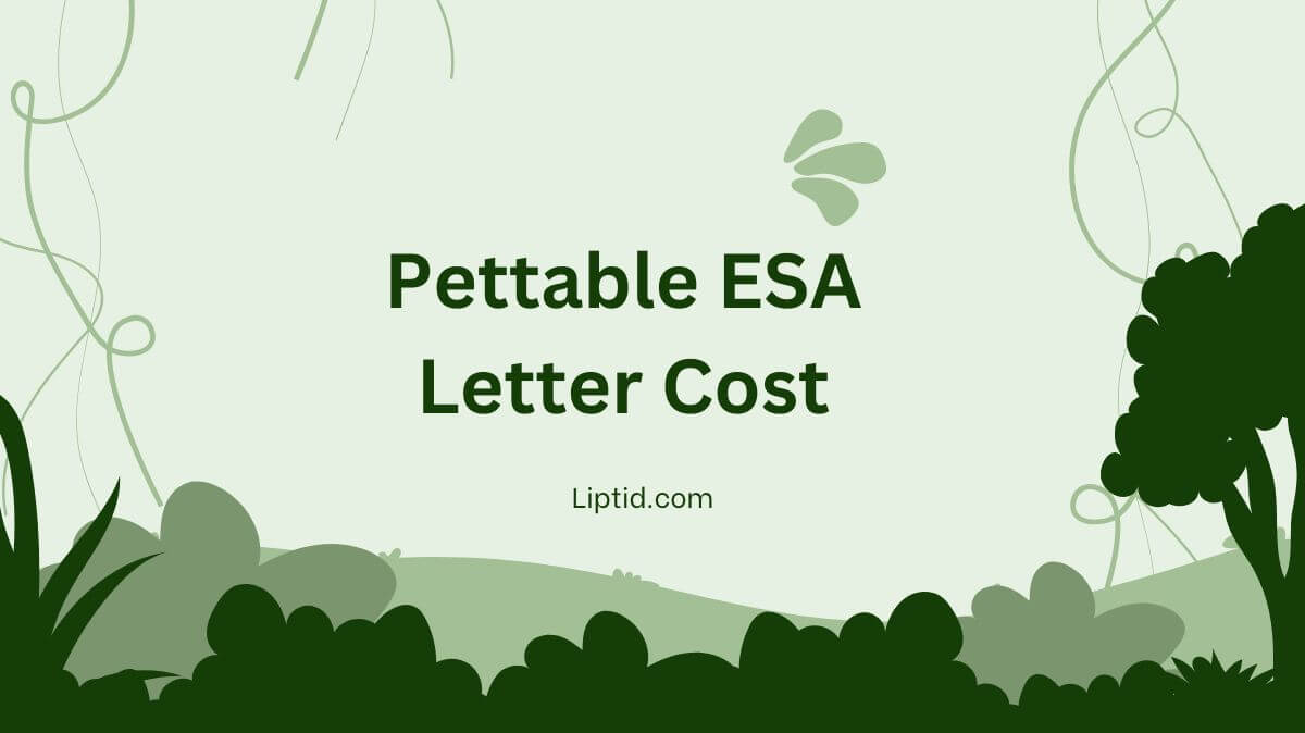 Pettable ESA Letter Cost