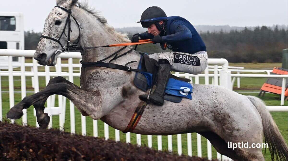 Snow Leopardess: Everything you need to know about this racehorse