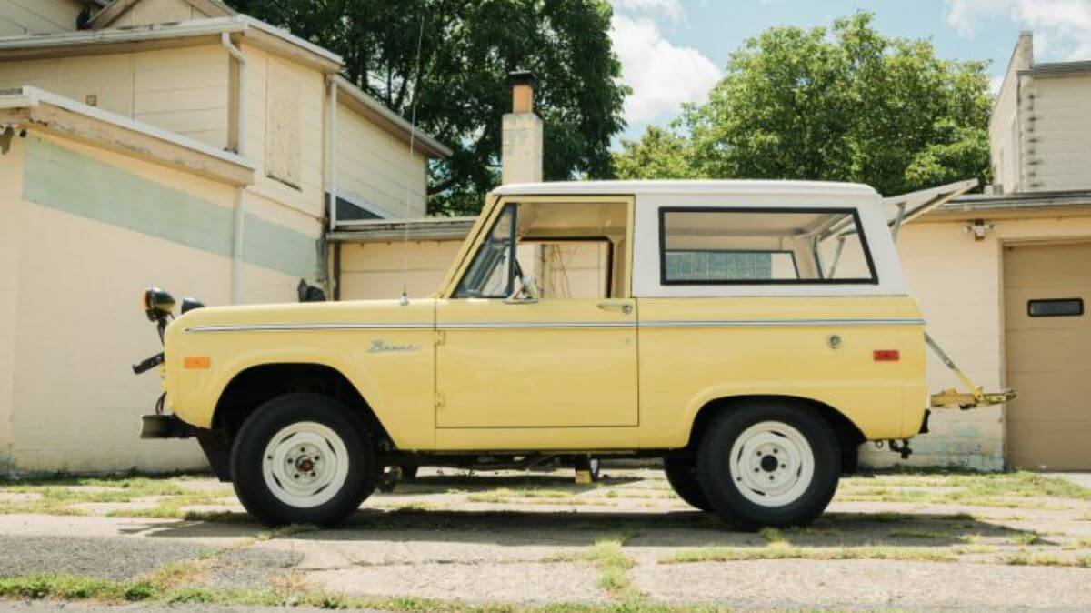 The Yellow Bronco: A Guide to Its Unique Characteristics