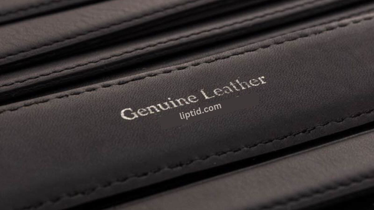 Everything You Need to Know About Genuine Leather