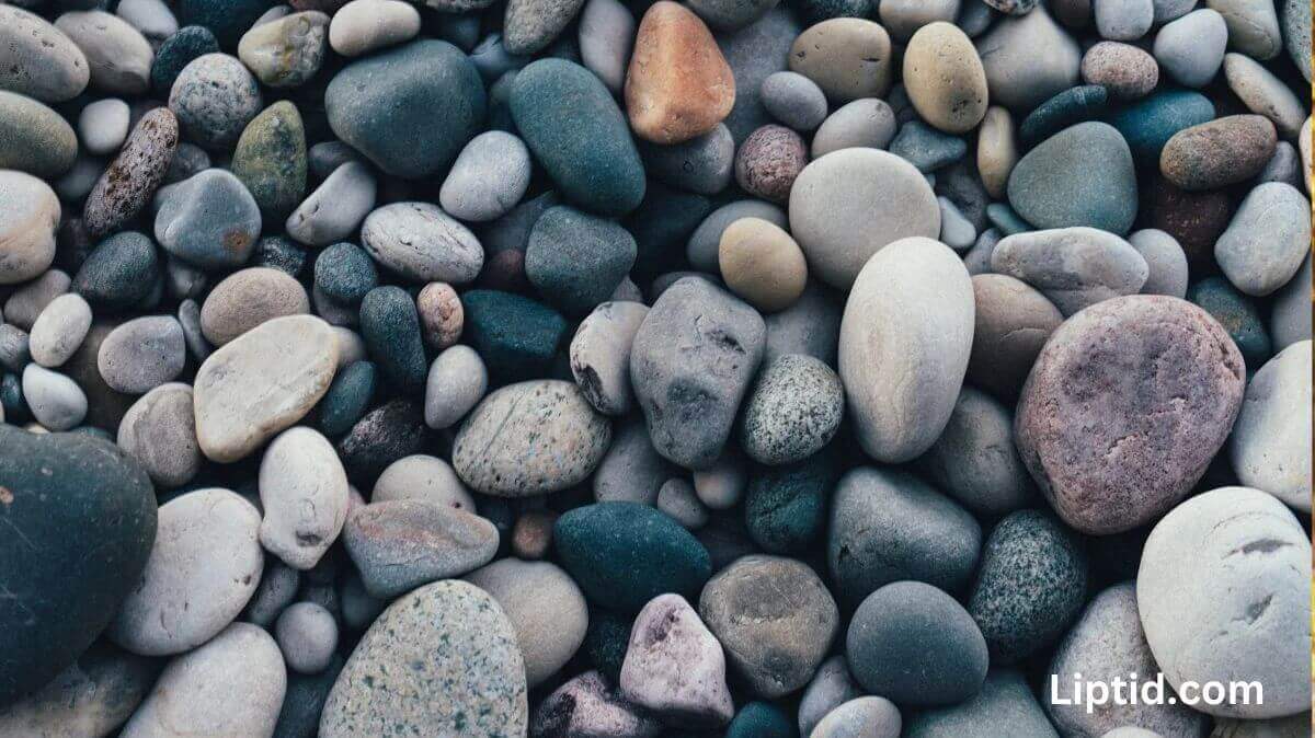 Stones from the Riverbed Clintasha