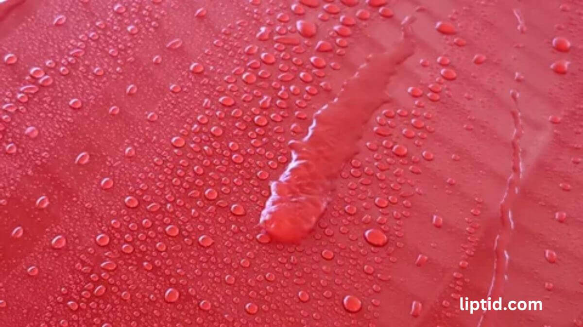 Understanding the Hydrophobic Effect in Water Beading