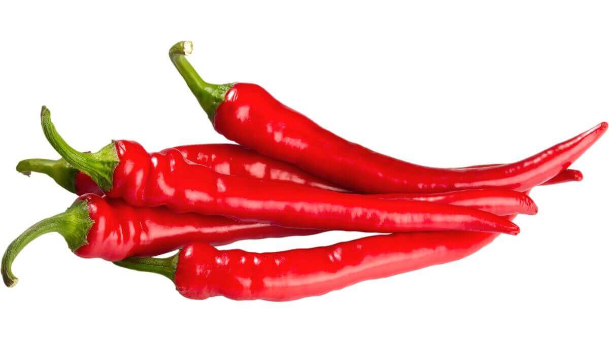 Penosia Chili: The Ultimate Spice for Heat Enthusiasts